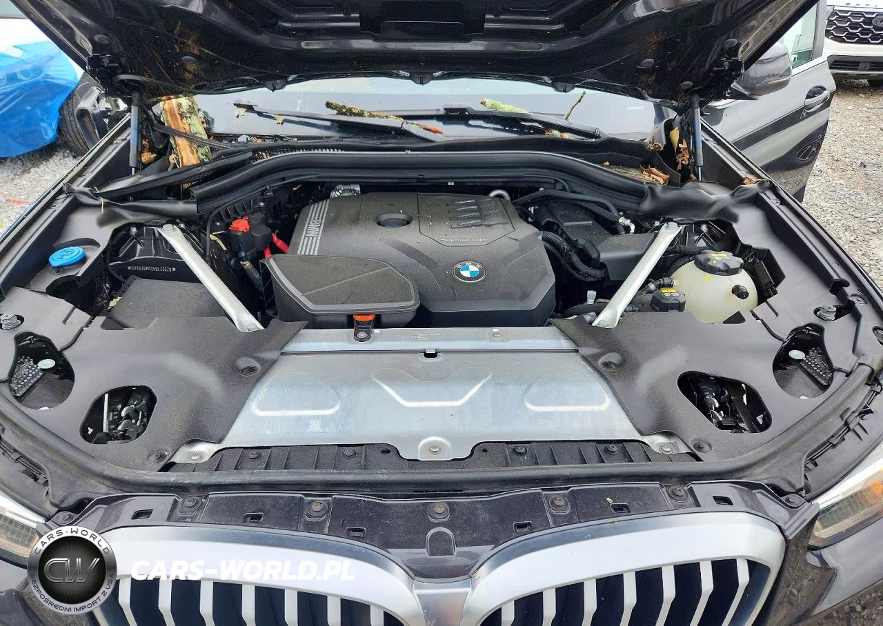 2022 BMW X3 xDrive30I VIN:5UX53DP03N9L33529 - 11
