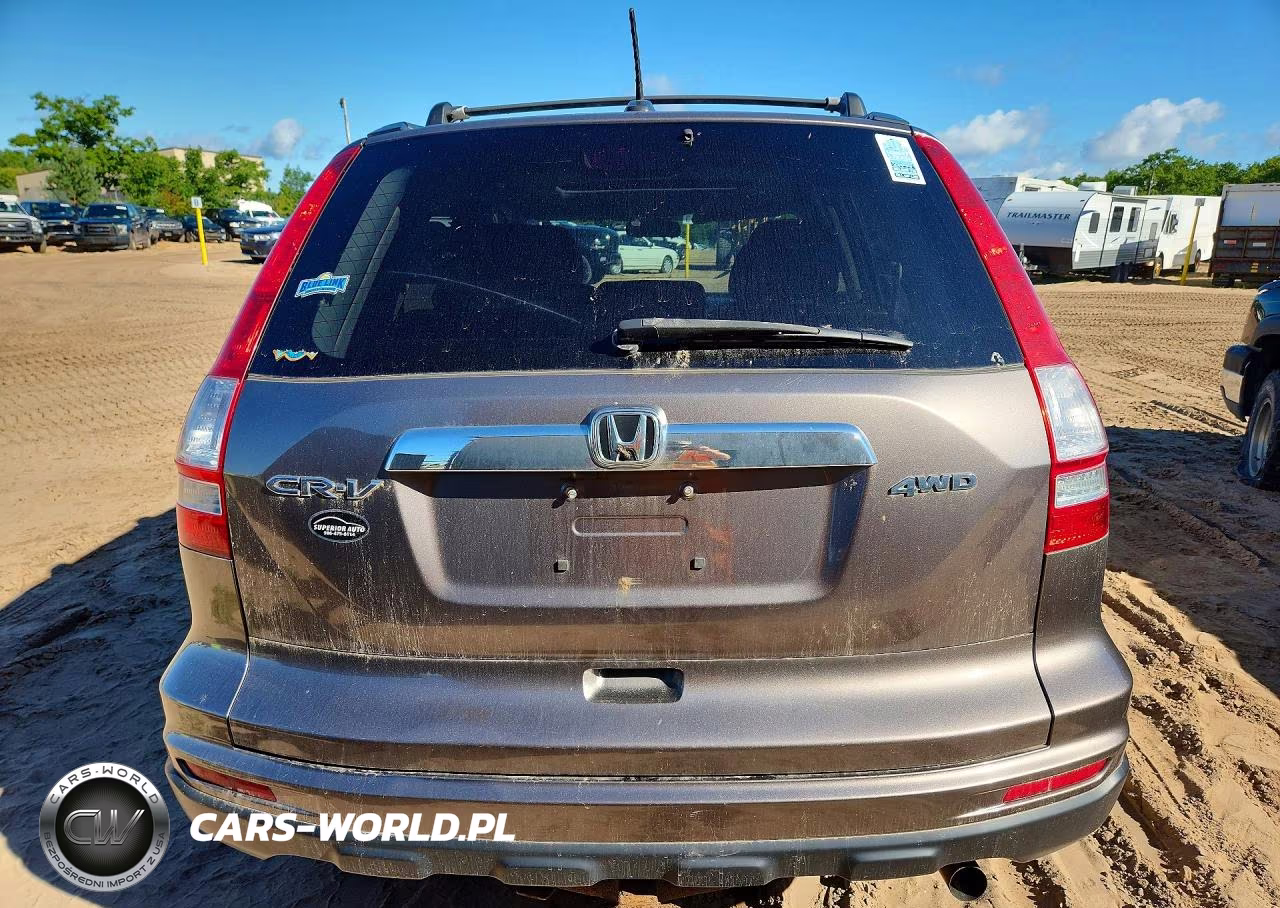 2010 Honda Cr-V Exl VIN:5J6RE4H79AL089420 - 6