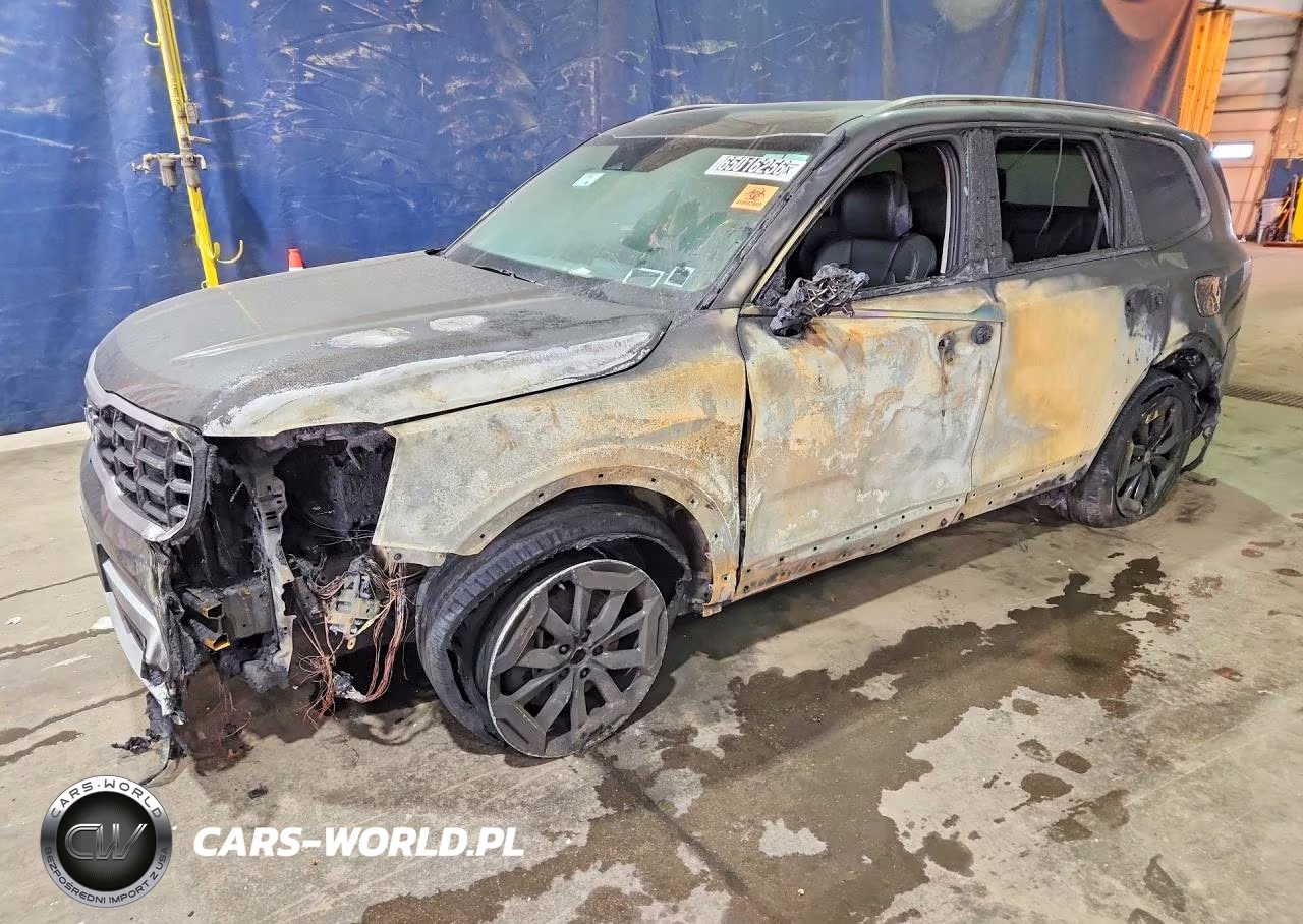 2025 Kia Telluride S VIN:5XYP6DGC2SG687483 - 1