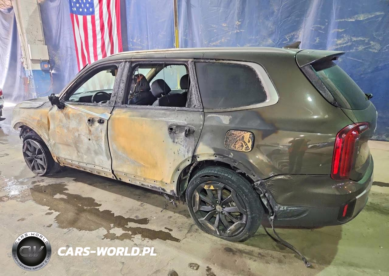2025 Kia Telluride S VIN:5XYP6DGC2SG687483 - 2