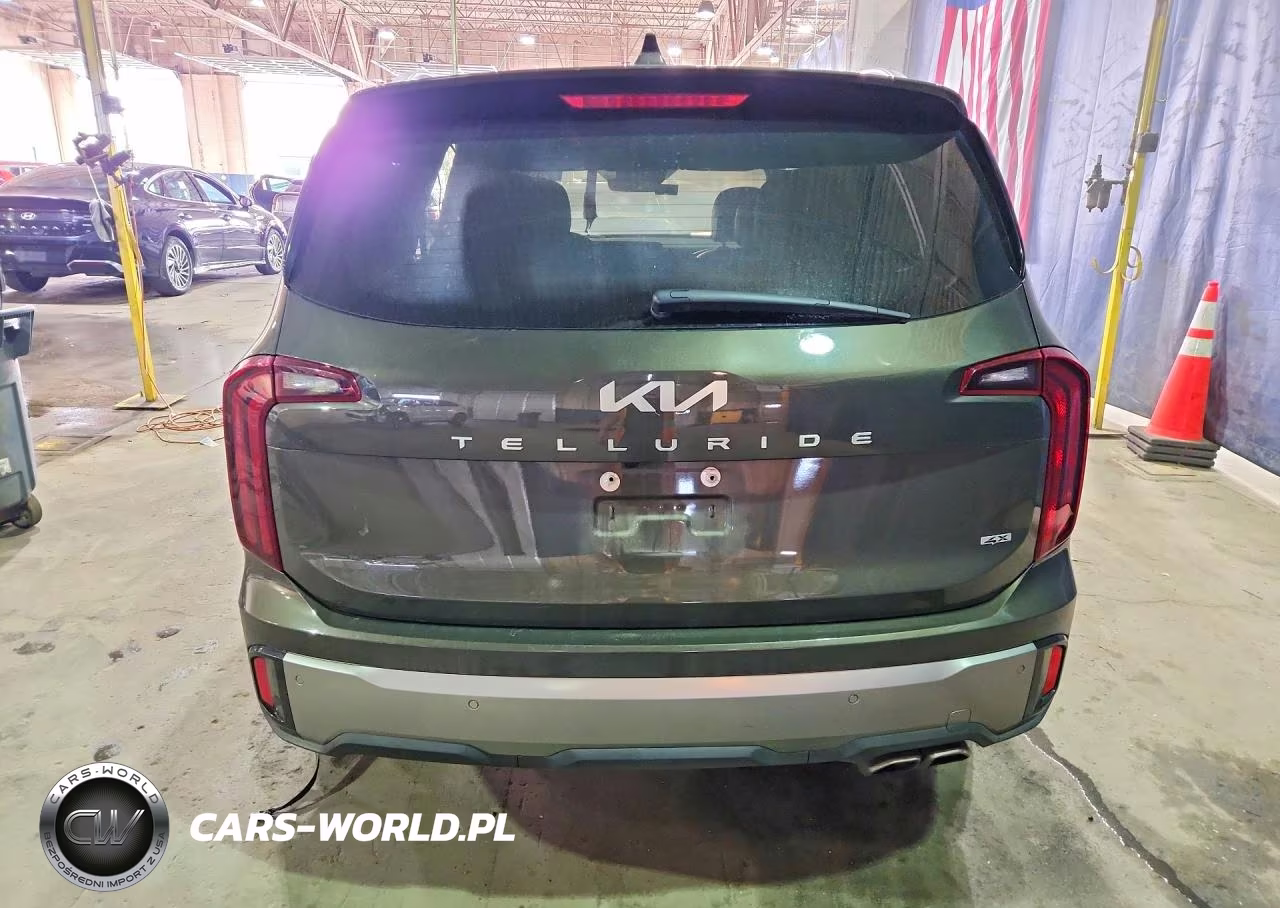 2025 Kia Telluride S VIN:5XYP6DGC2SG687483 - 6