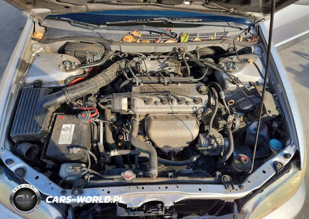 2002 Honda Accord Lx VIN:JHMCG665X2C014809 - 11