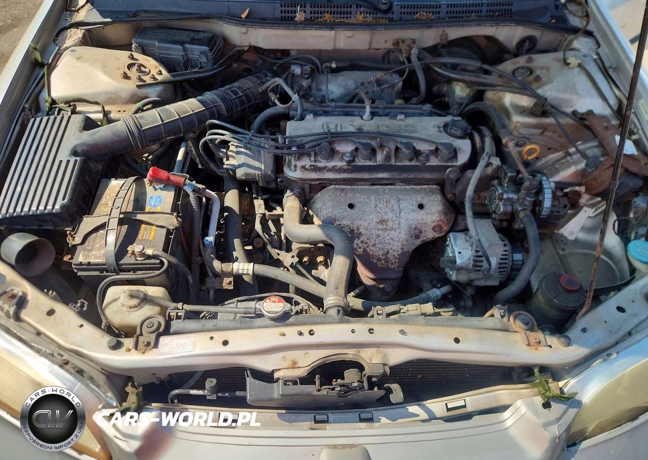 1998 Honda Accord Lx VIN:1HGCG5645WA256106 - 11