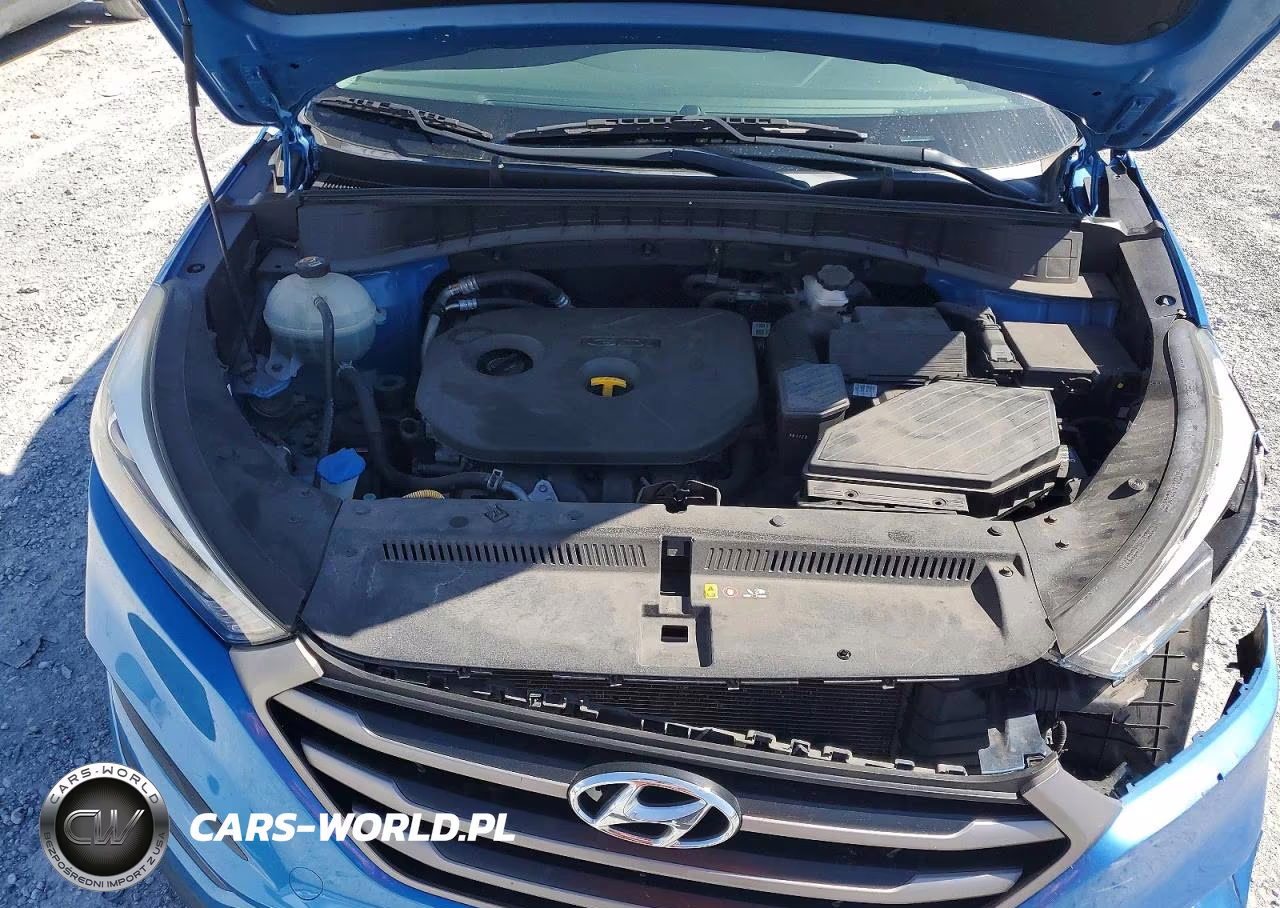 2016 Hyundai Tucson Se VIN:KM8J23A43GU135540 - 12
