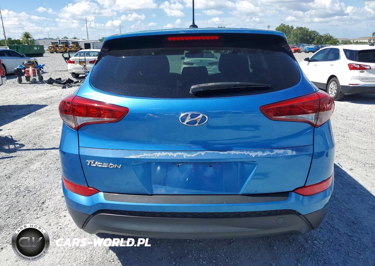 2016 Hyundai Tucson Se VIN:KM8J23A43GU135540 - 6