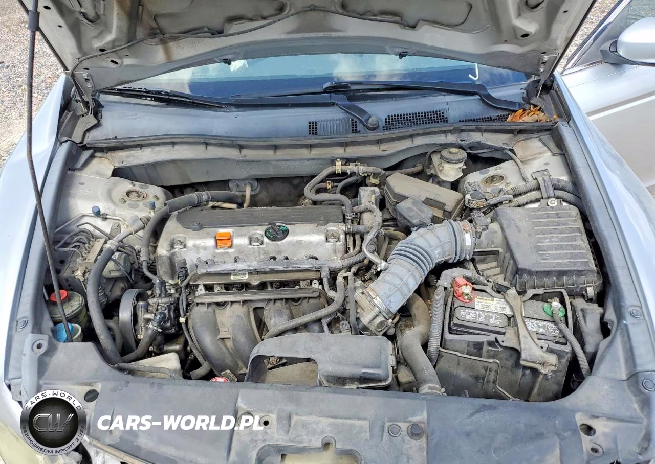 2009 Honda Accord Lx VIN:1HGCP26319A043941 - 11