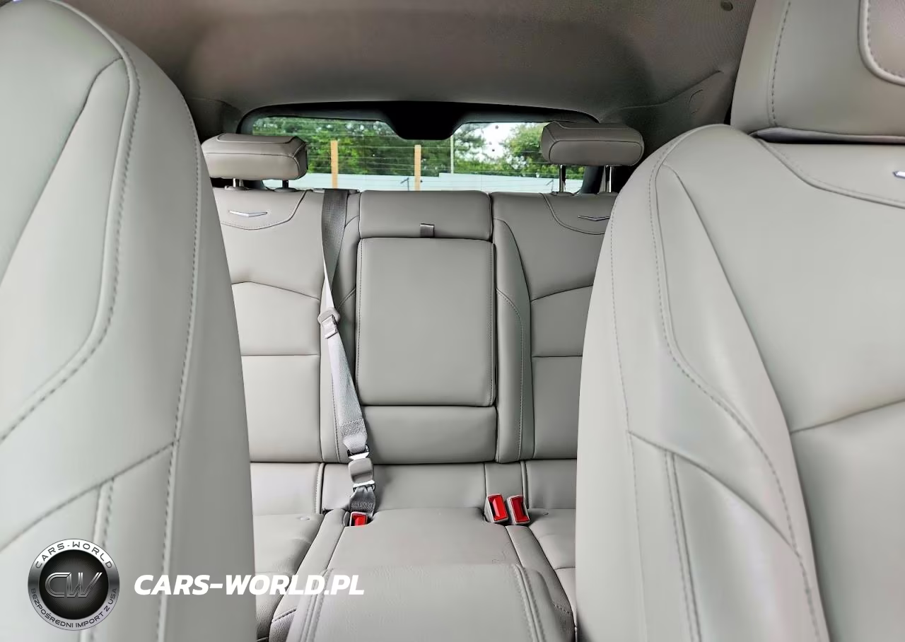 2020 Cadillac Xt4 Luxury VIN:1GYAZAR4XLF011167 - 10