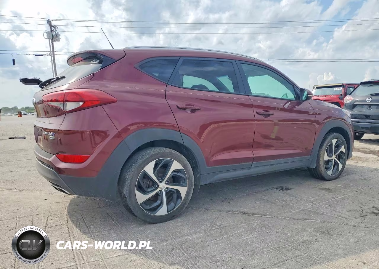 2016 Hyundai Tucson Sport VIN:KM8J3CA28GU155634 - 3