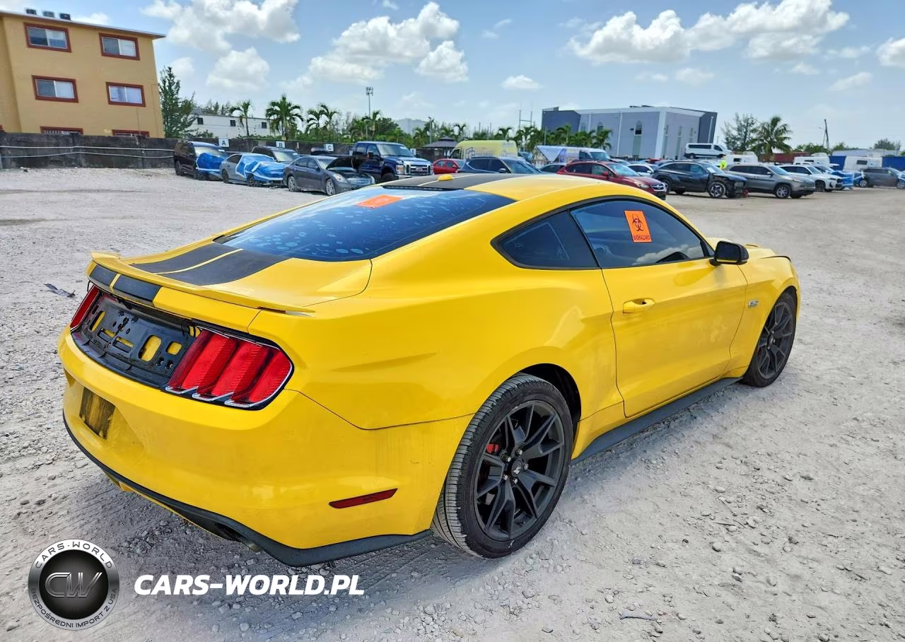 2015 Ford Mustang Gt VIN:1FA6P8CF3F5380229 - 3