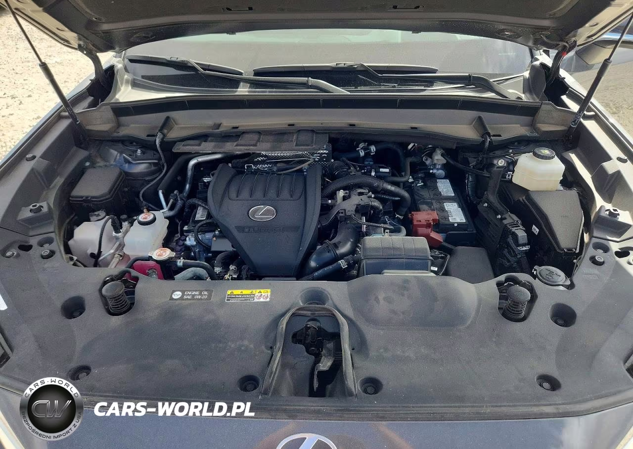 2024 Lexus Tx 350 Luxury VIN:5TDAAAB61RS005484 - 12