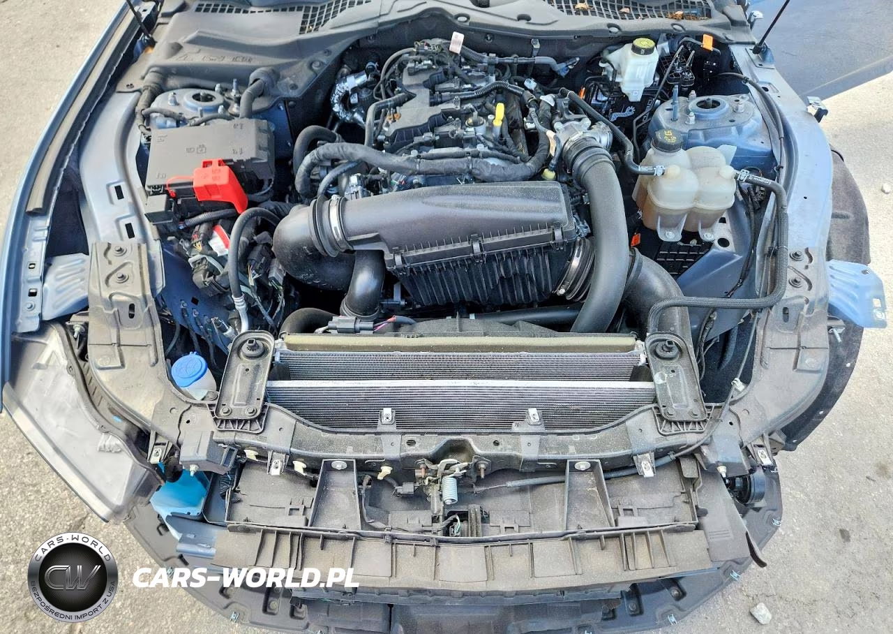 2024 Ford Mustang VIN:1FA6P8TH2R5114898 - 11