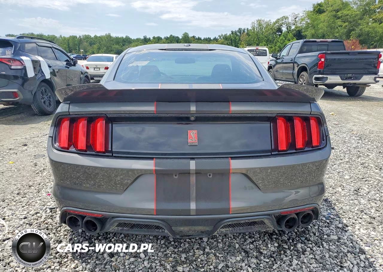 2016 Ford Mustang Shelby Gt350 VIN:1FA6P8JZXG5525930 - 6