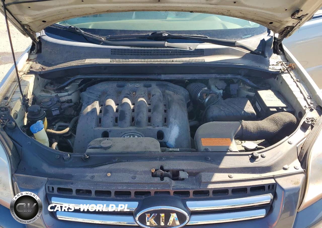 2007 Kia Sportage Lx VIN:KNDJE723977421156 - 12