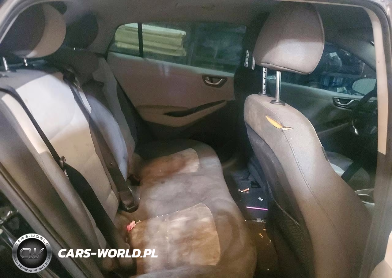 2020 Hyundai Ioniq Se VIN:KMHC75LC0LU242792 - 10
