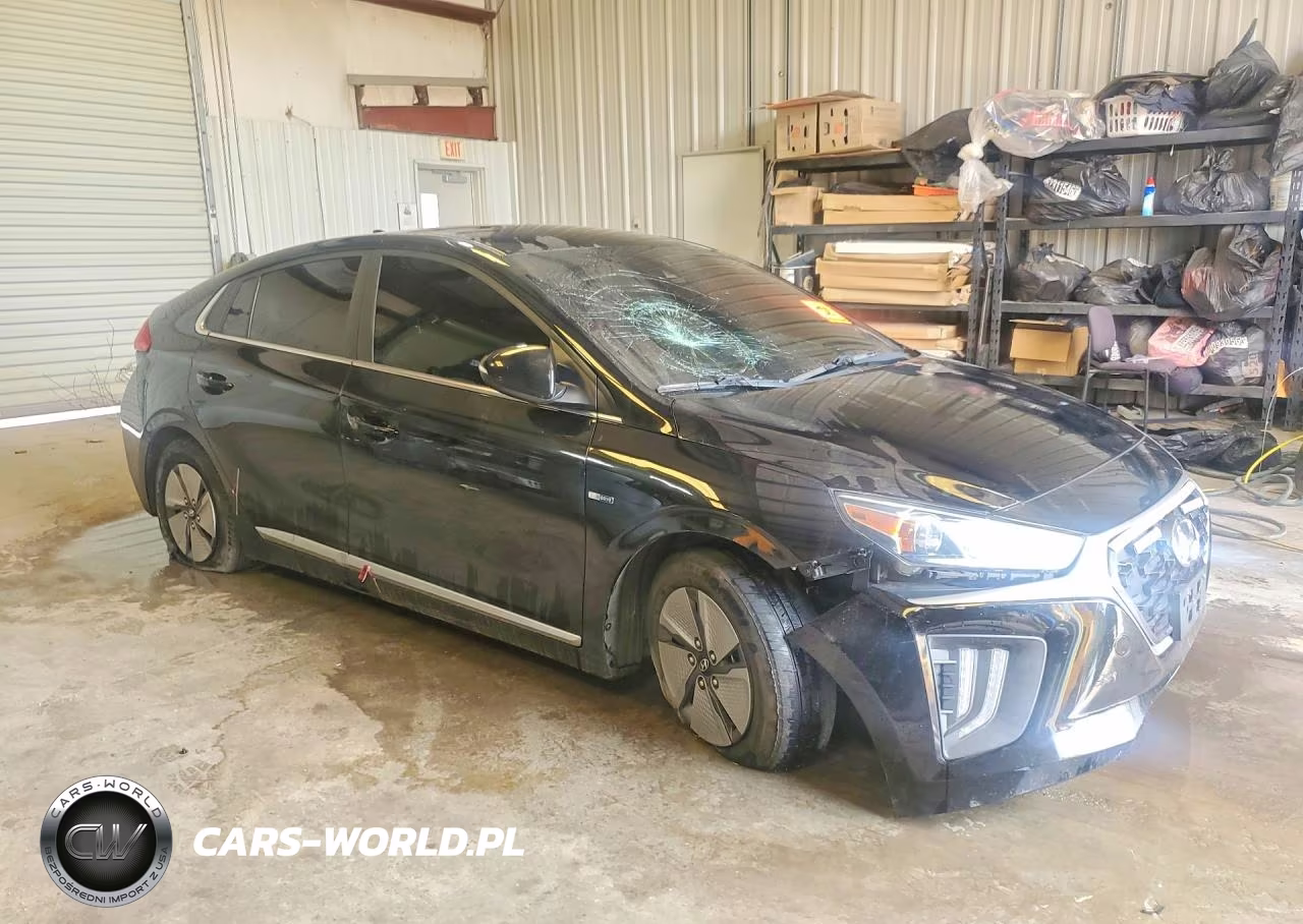 2020 Hyundai Ioniq Se VIN:KMHC75LC0LU242792 - 4