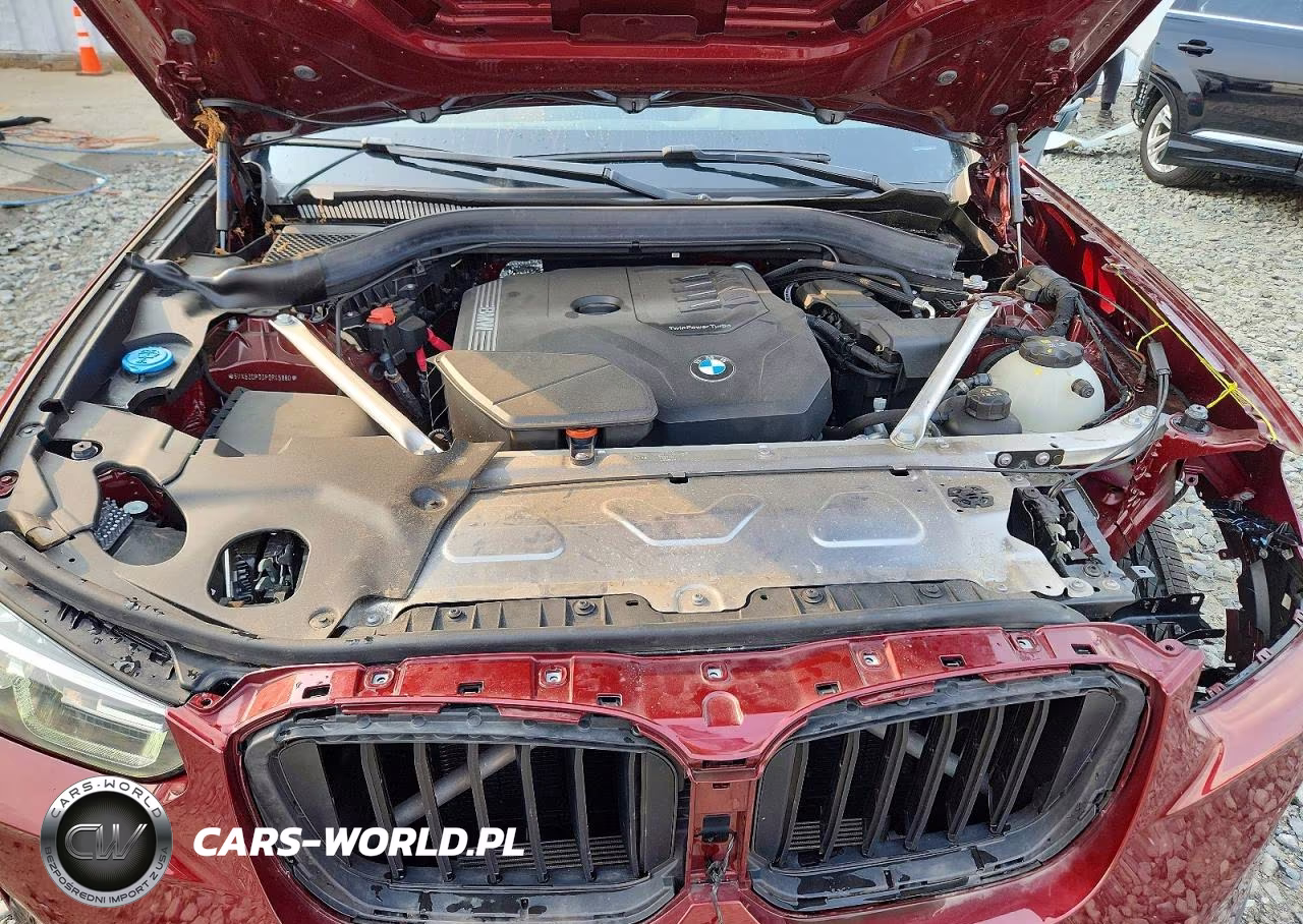 2023 BMW X3 xDrive30I VIN:5UX53DP03P9R45880 - 11