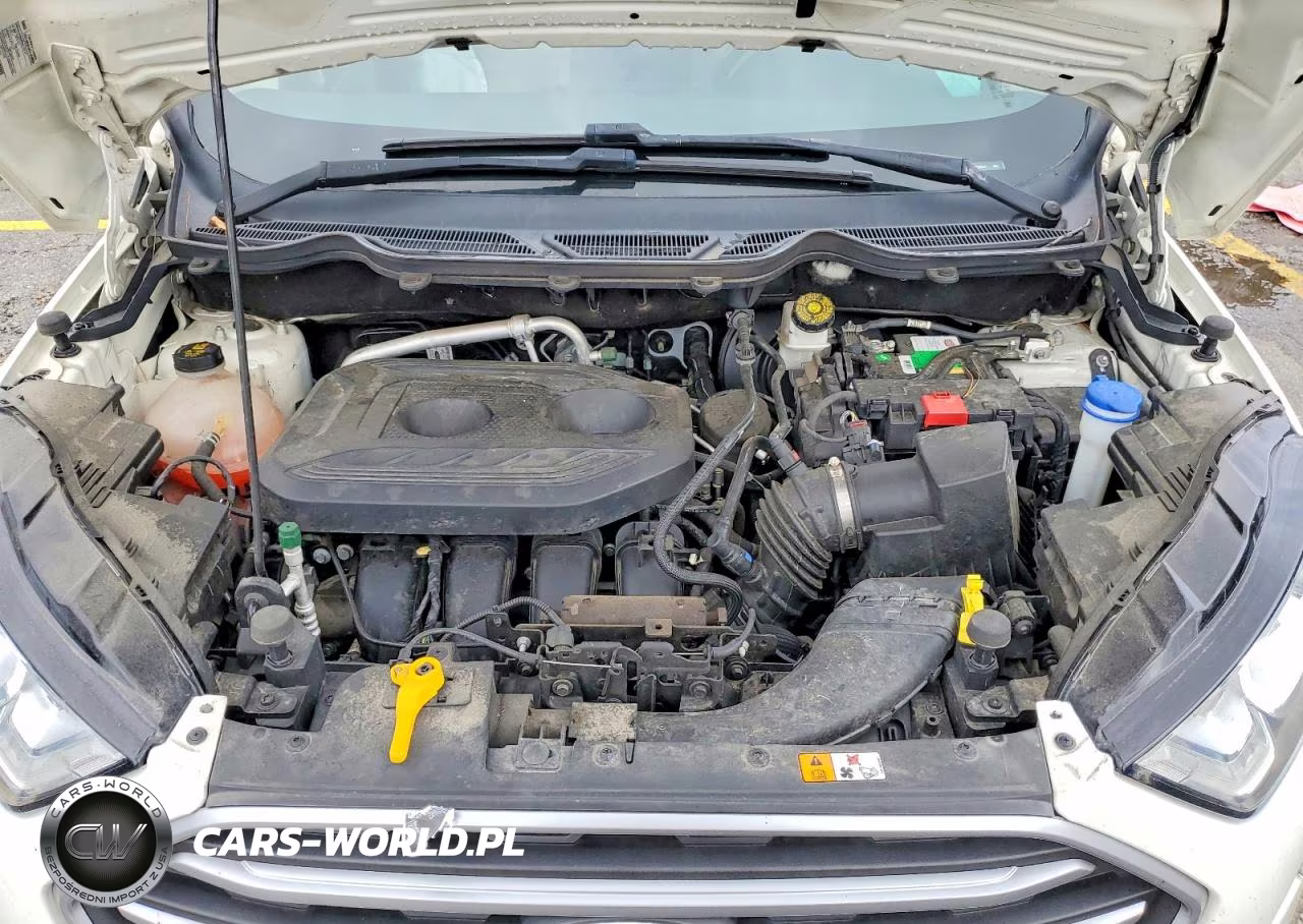 2020 Ford Ecosport Se VIN:MAJ6S3GL5LC359844 - 12