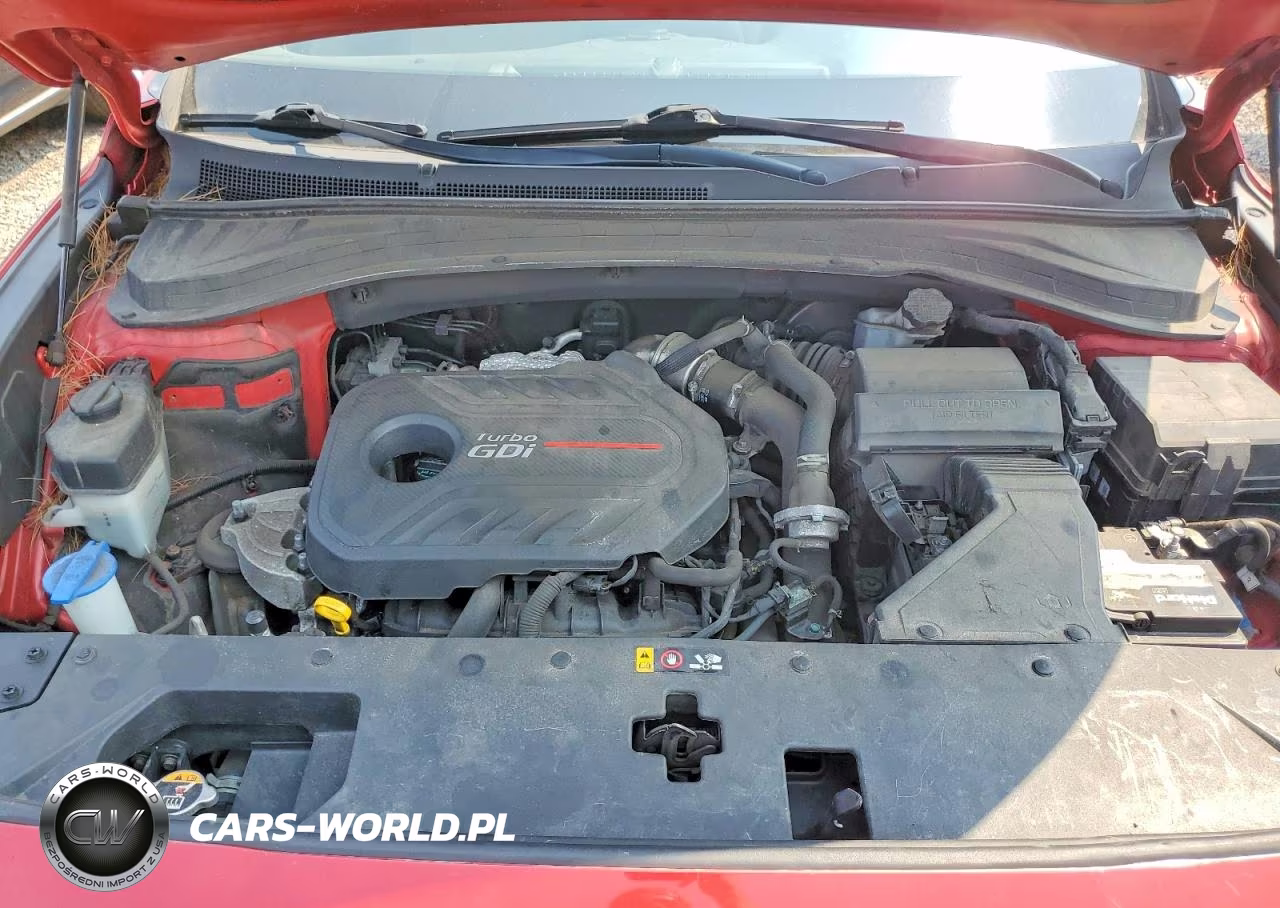 2019 Hyundai Santa Fe Limited 2.0T VIN:5NMS5CAA9KH133815 - 12
