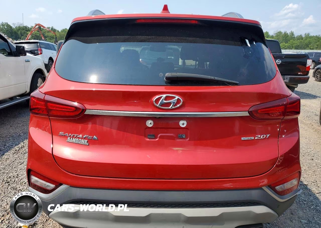 2019 Hyundai Santa Fe Limited 2.0T VIN:5NMS5CAA9KH133815 - 6