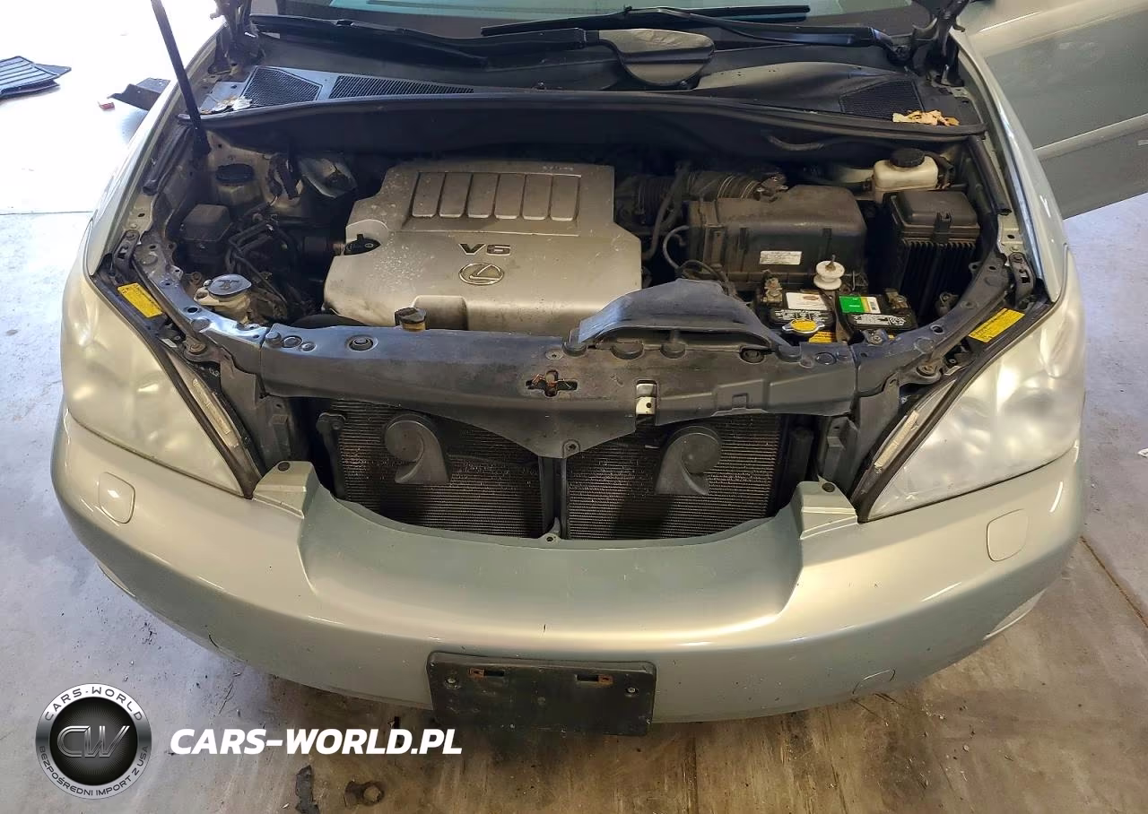 2007 Lexus Rx 350 VIN:2T2HK31U77C039339 - 12