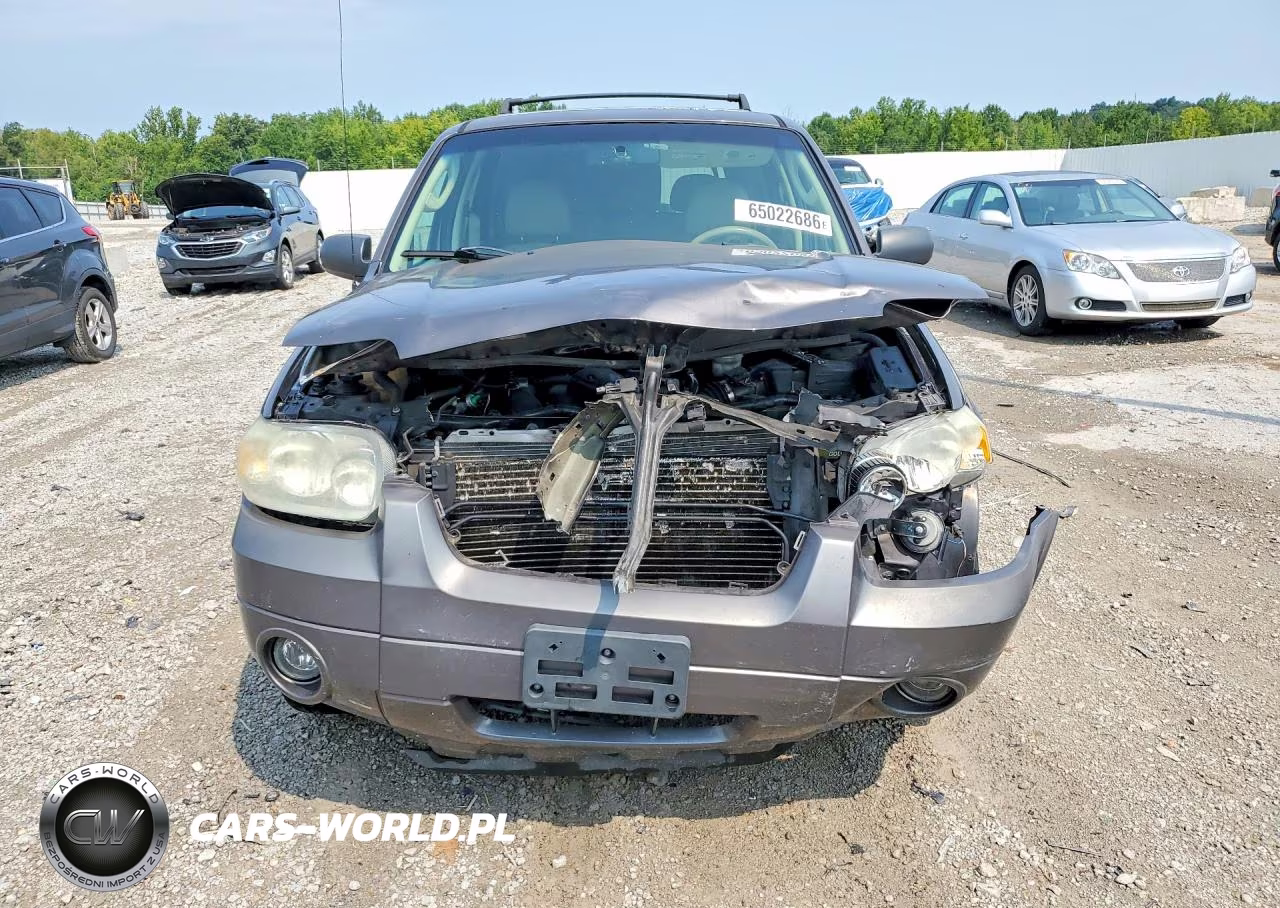 2006 Ford Escape Limited VIN:1FMCU041X6KD54671 - 5
