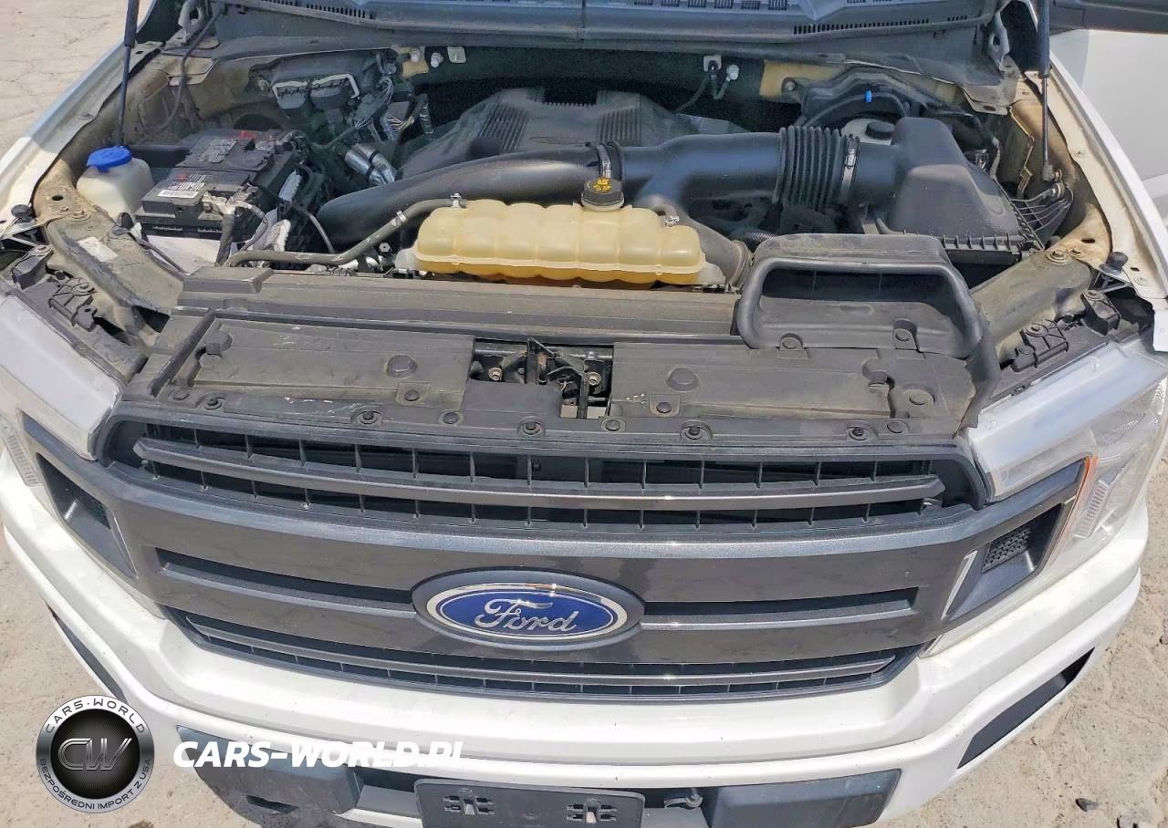 2019 Ford F150 Supercrew VIN:1FTEW1E44KFB52577 - 11