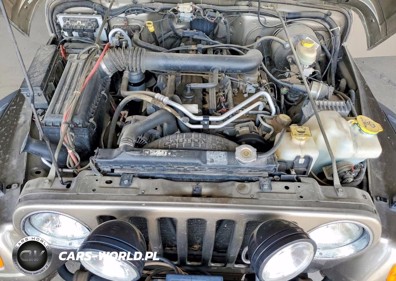 2004 Jeep Wrangler X VIN:1J4FA39S74P727396 - 11
