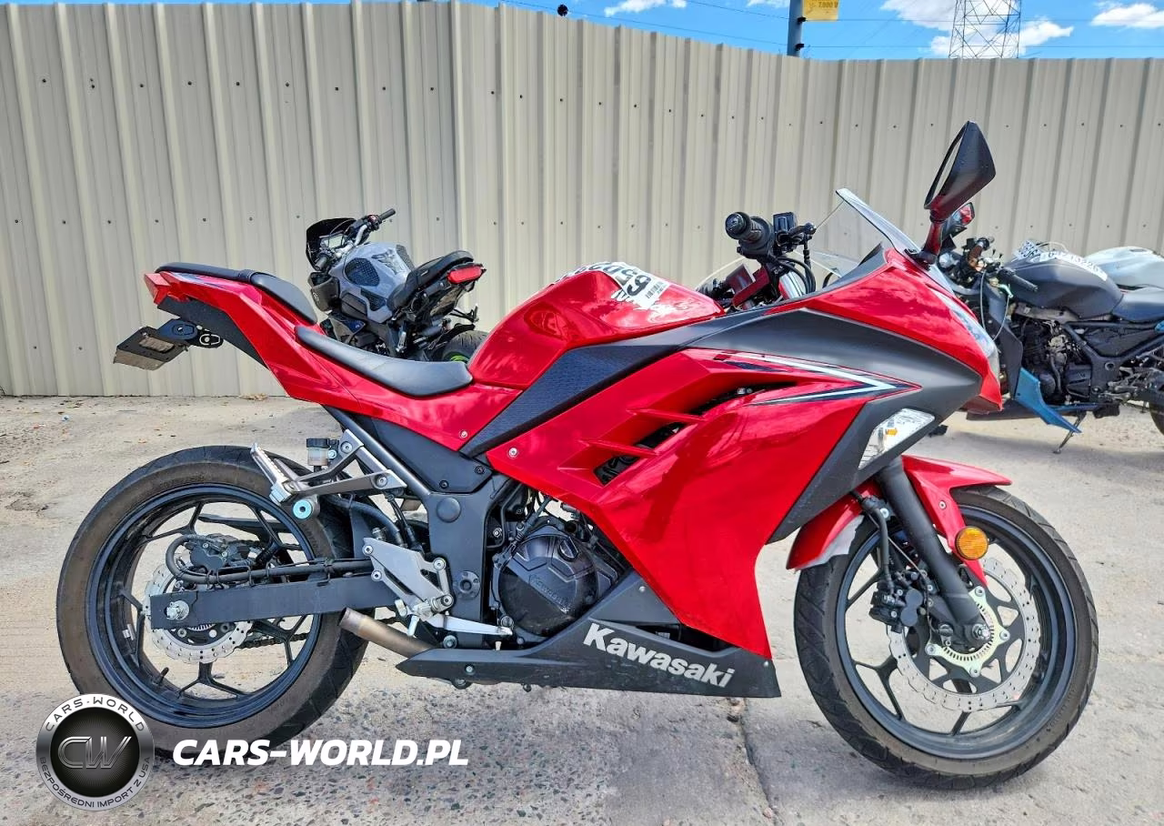 2016 Kawasaki Ex300 B – zdjęcie 1 z 9