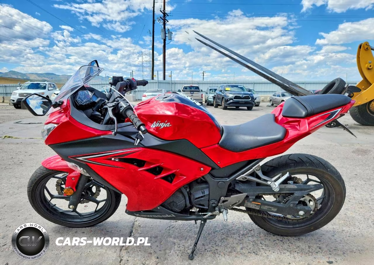 2016 Kawasaki Ex300 B VIN:JKAEX8B17GDA27153 - 3
