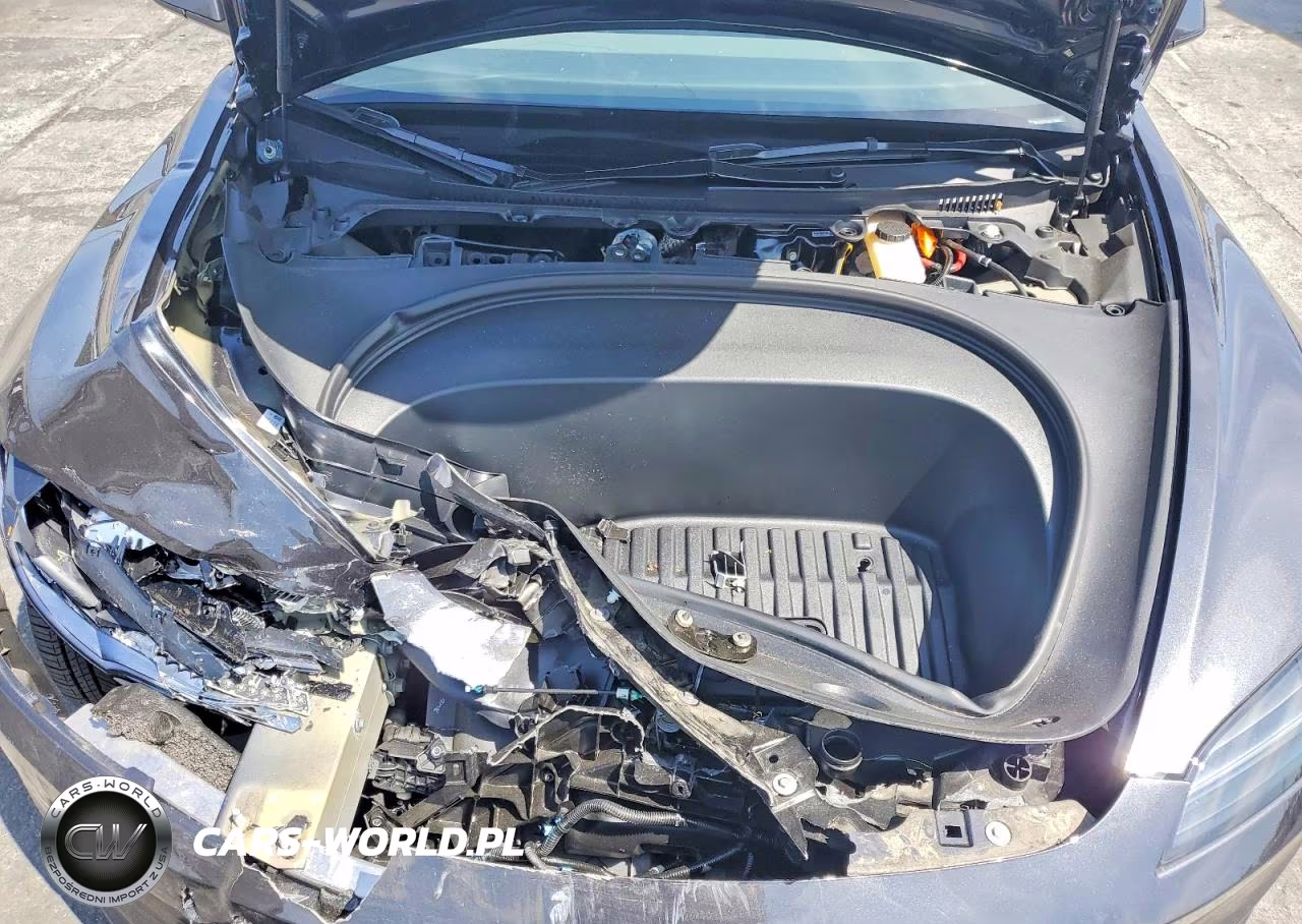 2025 Tesla Model 3 VIN:5YJ3E1EA9SF136685 - 11
