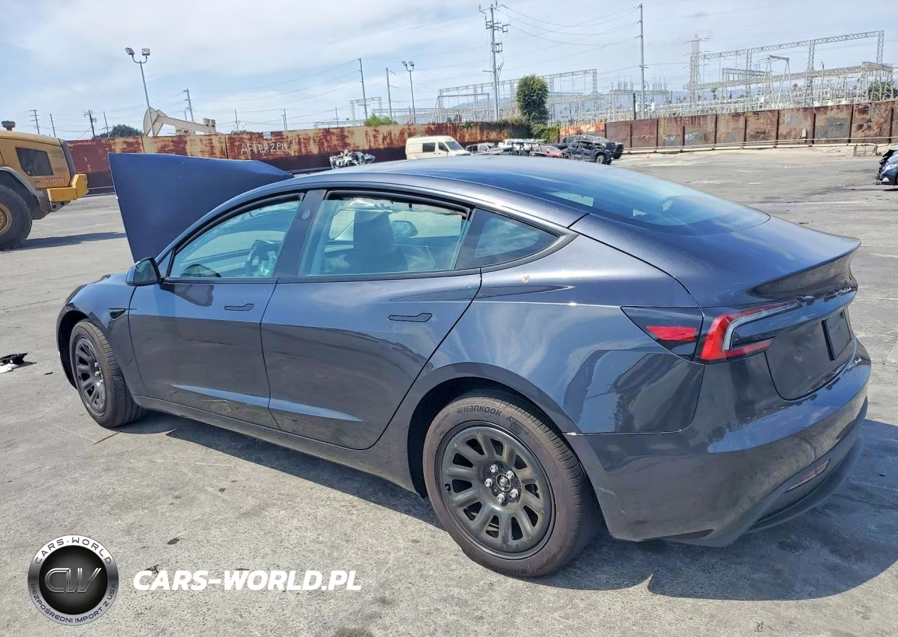 2025 Tesla Model 3 VIN:5YJ3E1EA9SF136685 - 2