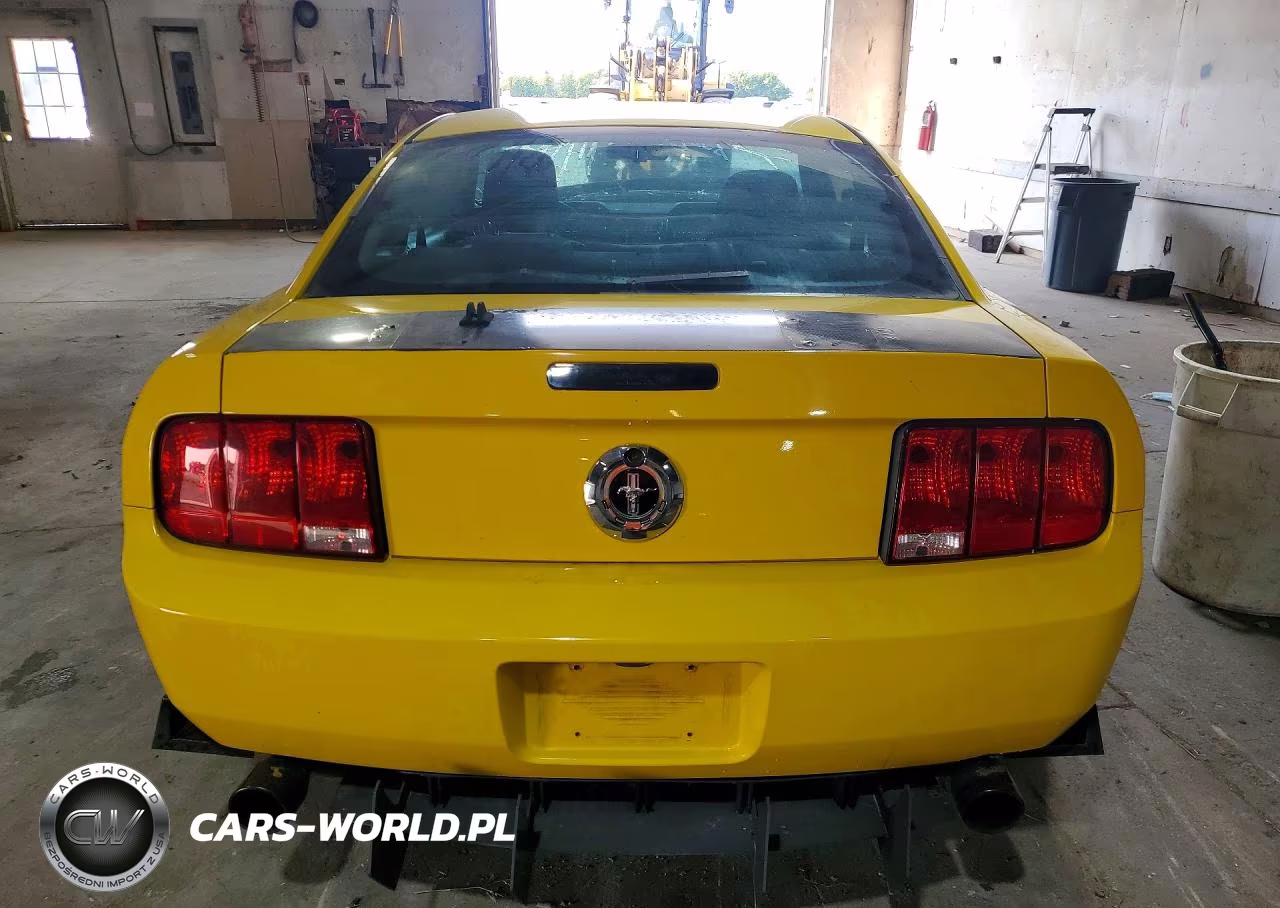 2005 Ford Mustang VIN:1ZVFT80N155178437 - 6