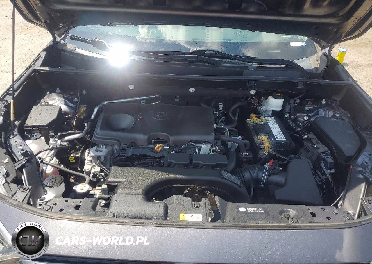 2019 Toyota Rav4 Le VIN:2T3H1RFV6KW041187 - 12