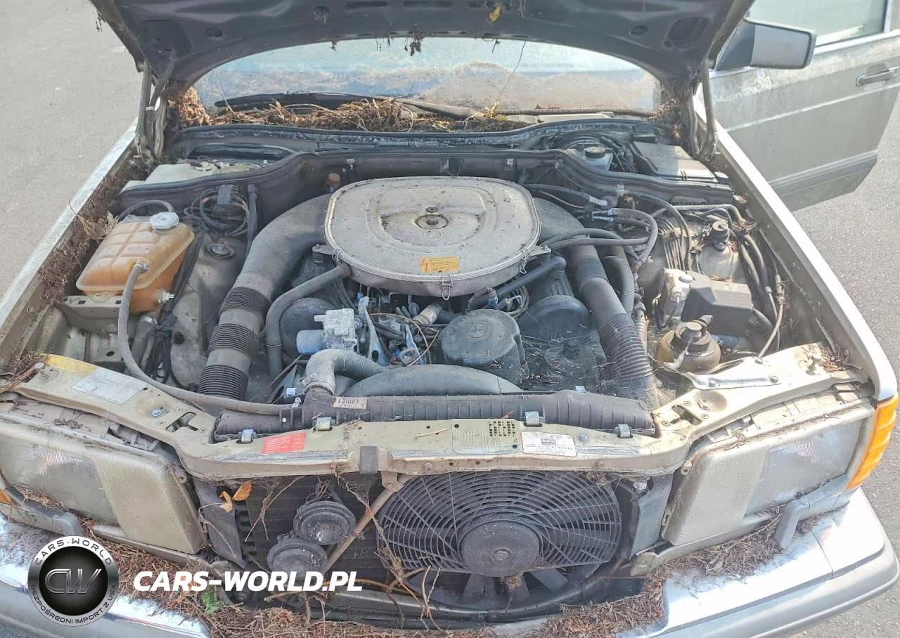1989 Mercedes-Benz 560 Sel VIN:WDBCA39E6KA459166 - 11