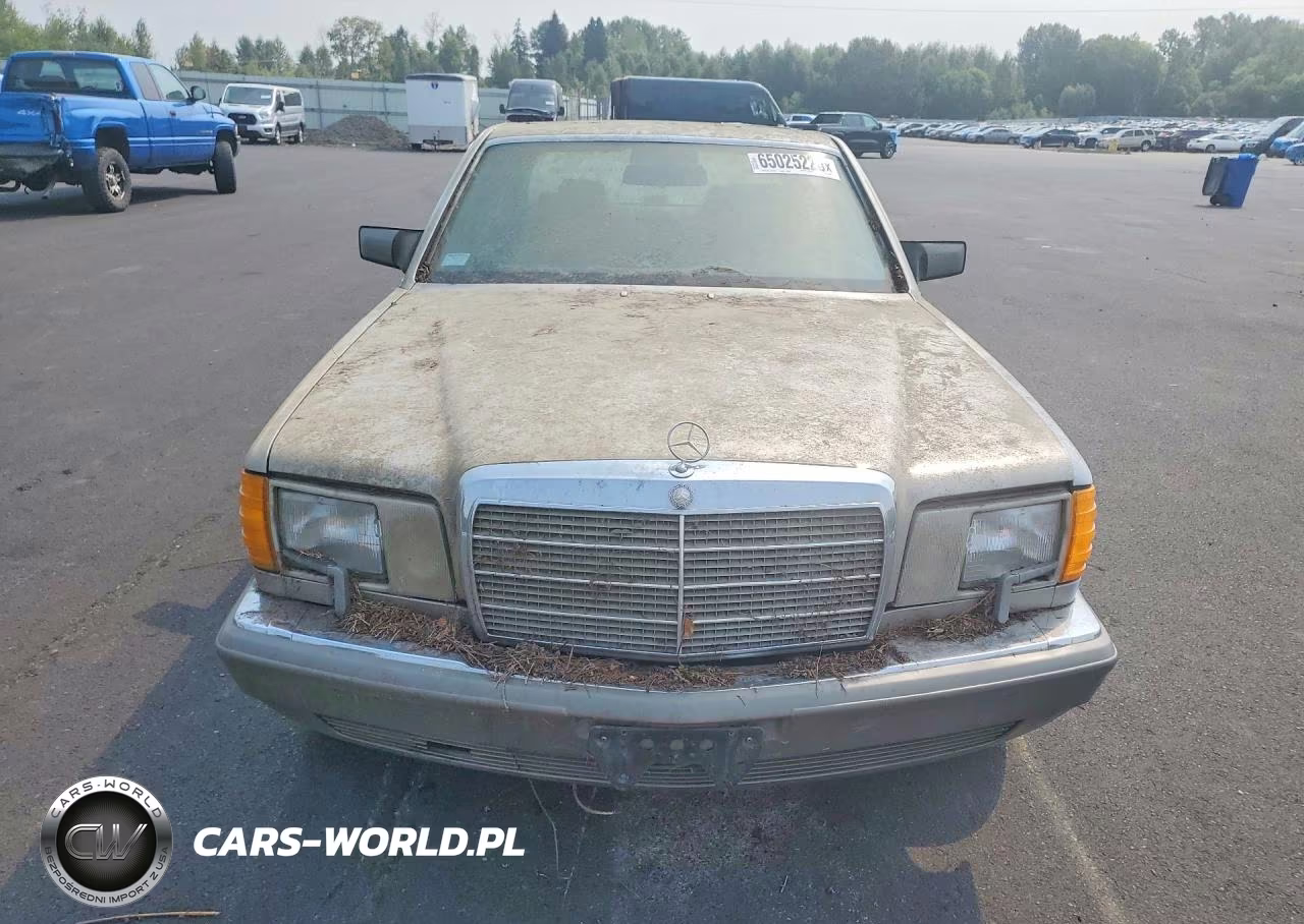 1989 Mercedes-Benz 560 Sel VIN:WDBCA39E6KA459166 - 5