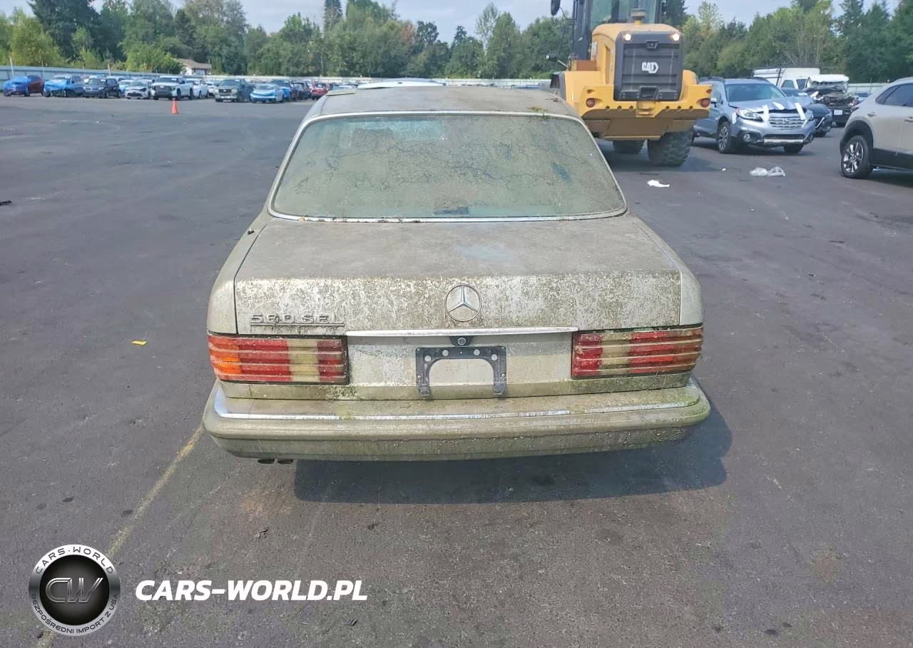 1989 Mercedes-Benz 560 Sel VIN:WDBCA39E6KA459166 - 6