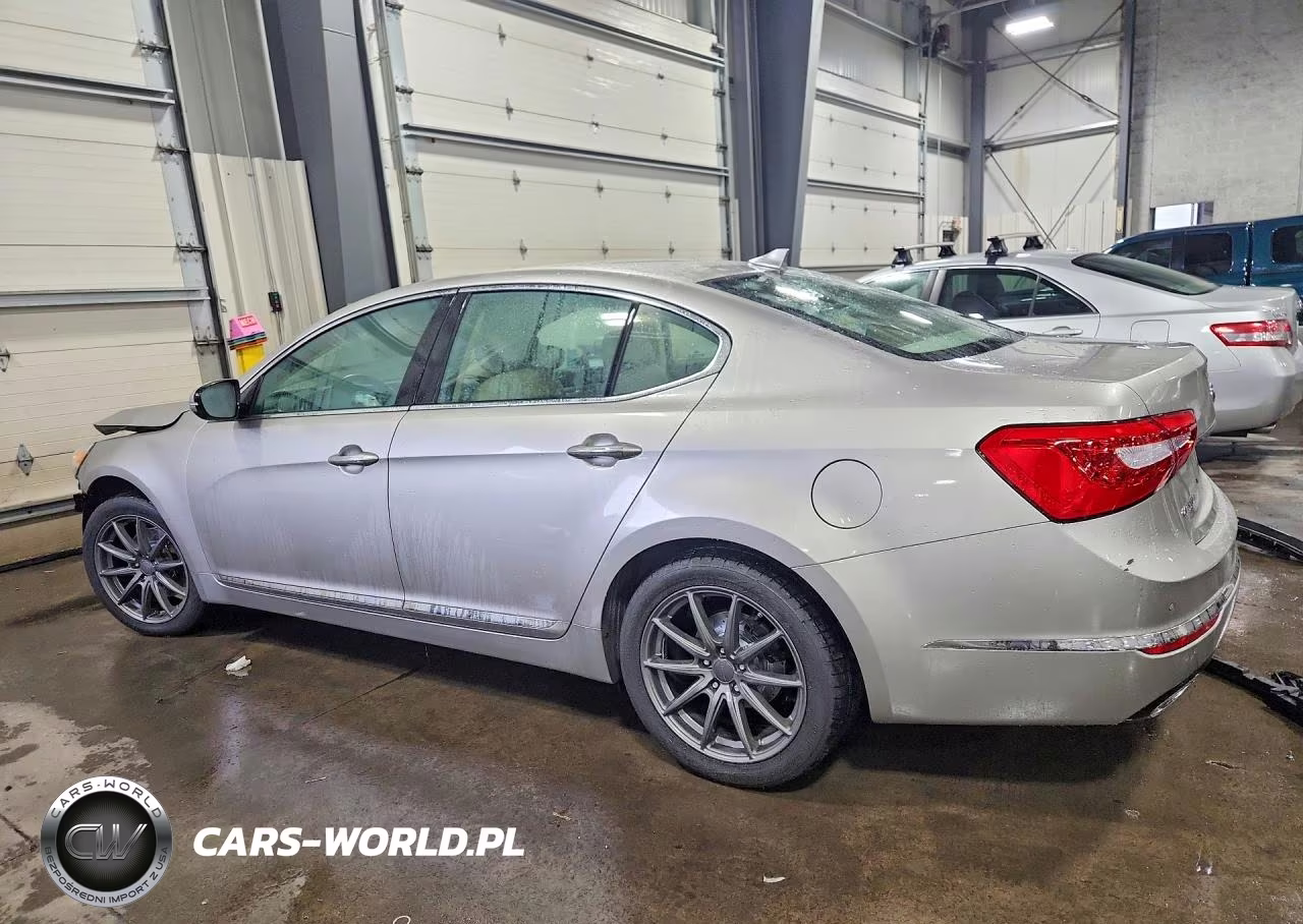 2014 Kia Cadenza Premium VIN:KNALN4D77E5165502 - 2