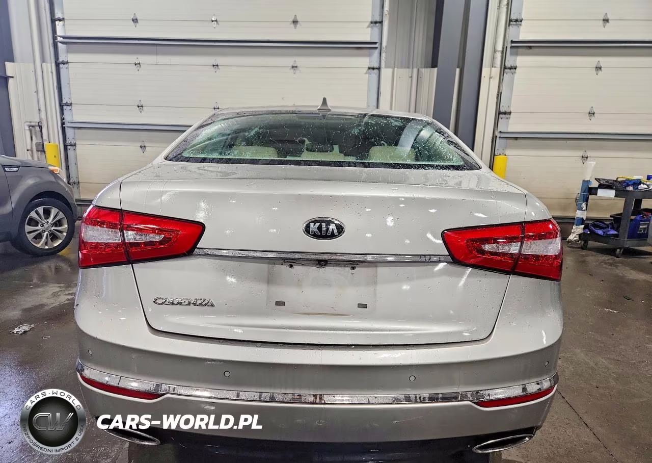 2014 Kia Cadenza Premium VIN:KNALN4D77E5165502 - 6