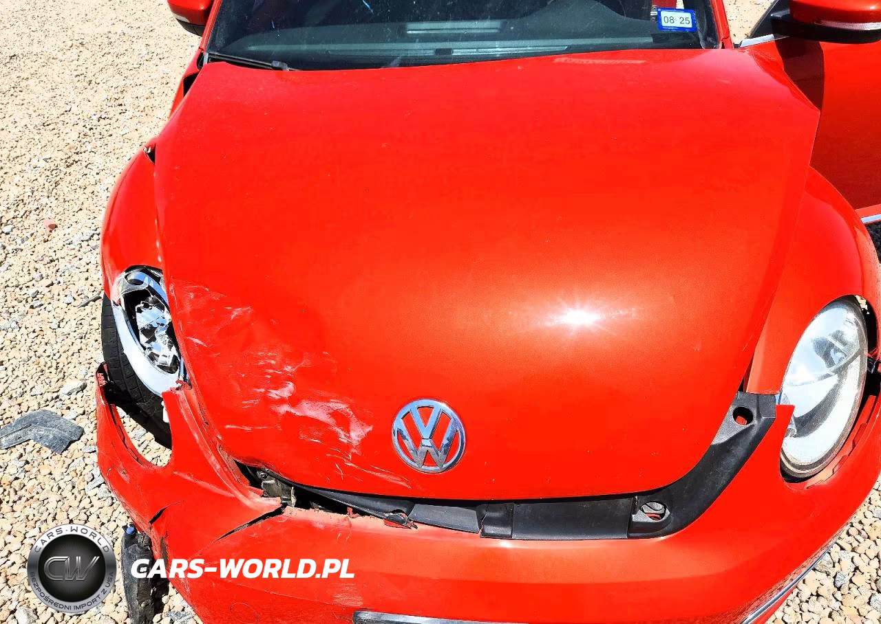 2019 Volkswagen Beetle S VIN:3VW5DAAT3KM510249 - 11