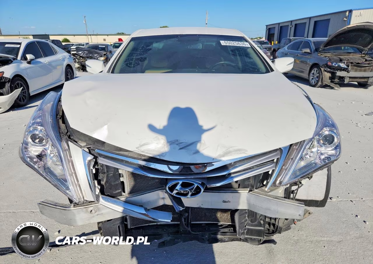 2013 Hyundai Azera Base VIN:KMHFG4JG8DA232446 - 5