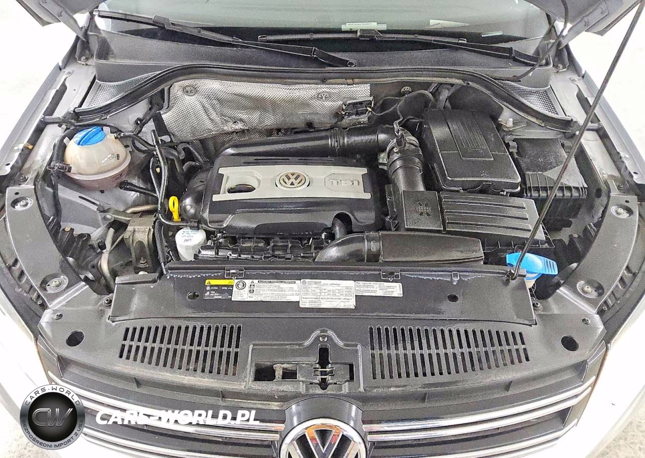 2014 Volkswagen Tiguan S VIN:WVGAV3AX9EW603354 - 12