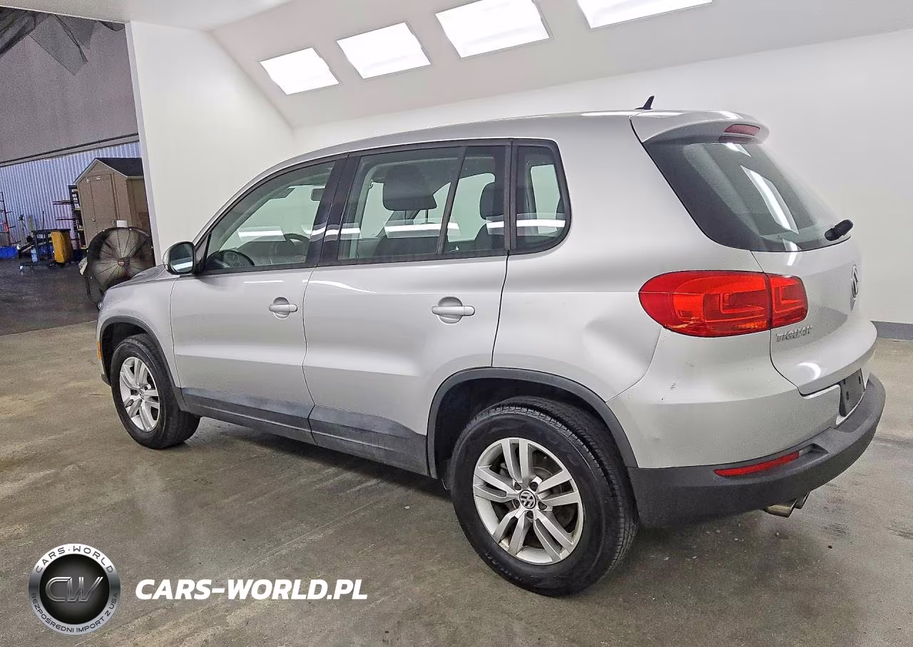 2014 Volkswagen Tiguan S VIN:WVGAV3AX9EW603354 - 2