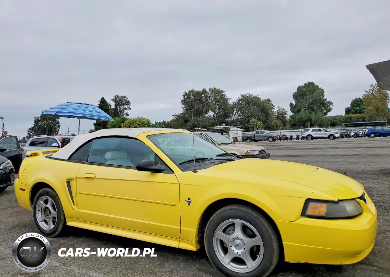 2003 Ford Mustang VIN:1FAFP44443F421074 - 4