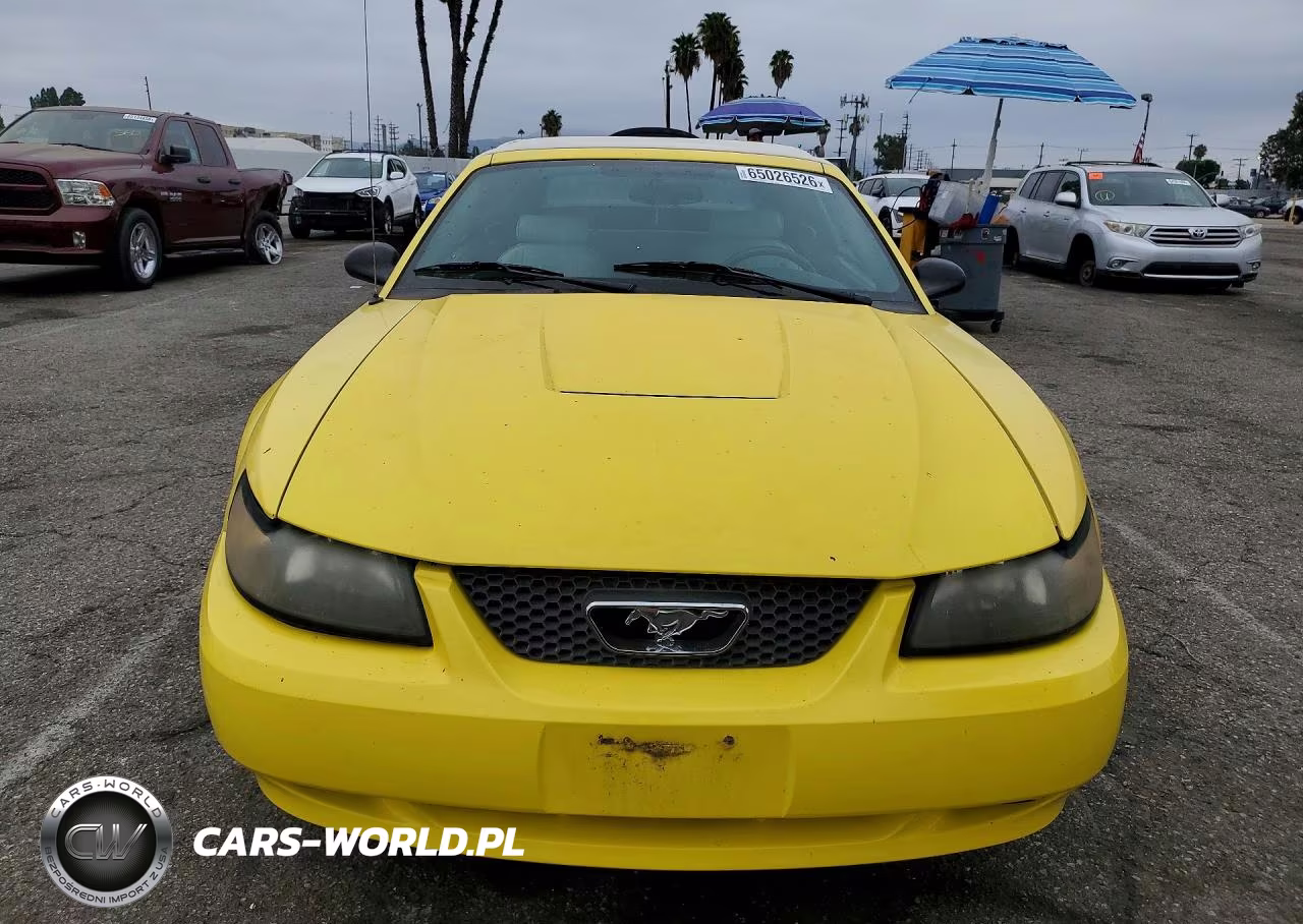 2003 Ford Mustang VIN:1FAFP44443F421074 - 5