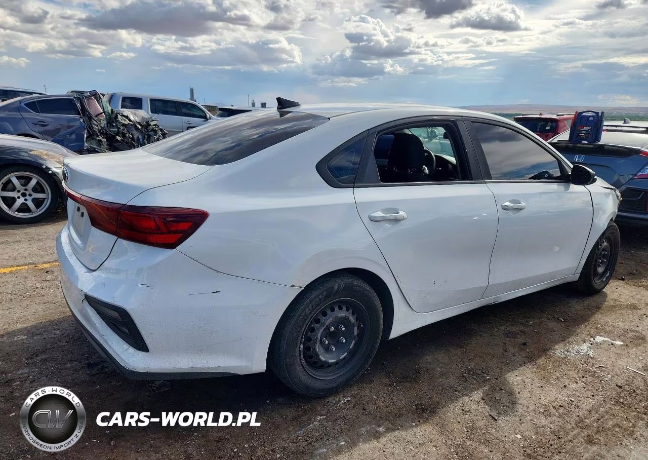 2019 Kia Forte Fe VIN:3KPF24AD6KE104659 - 3