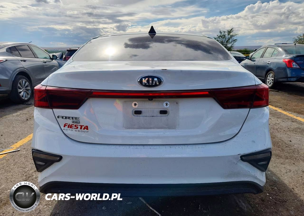 2019 Kia Forte Fe VIN:3KPF24AD6KE104659 - 6