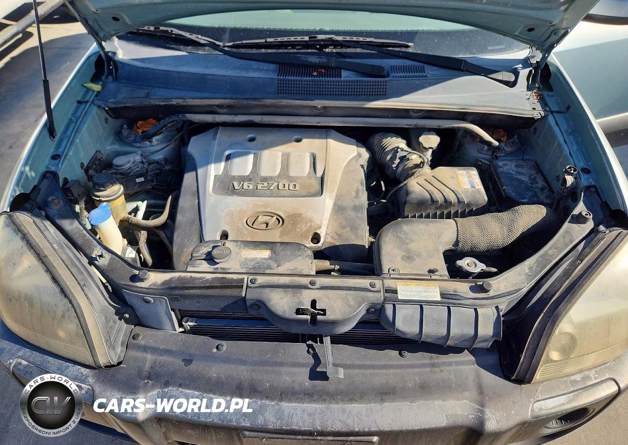 2006 Hyundai Tucson Gls VIN:KM8JN72D26U411167 - 12