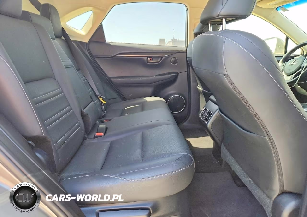 2019 Lexus Nx 300H VIN:JTJBJRBZ4K2120443 - 10