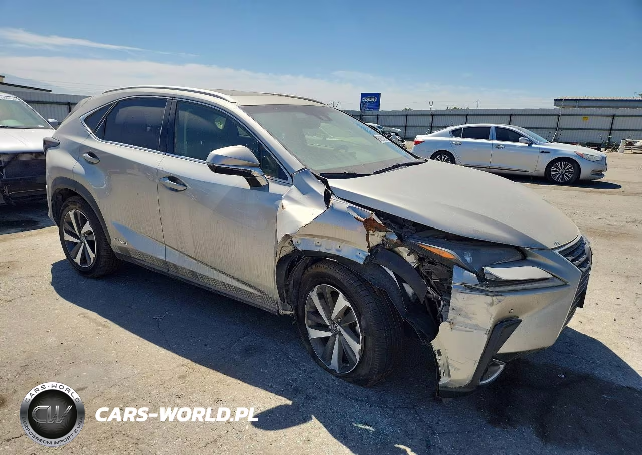 2019 Lexus Nx 300H VIN:JTJBJRBZ4K2120443 - 4