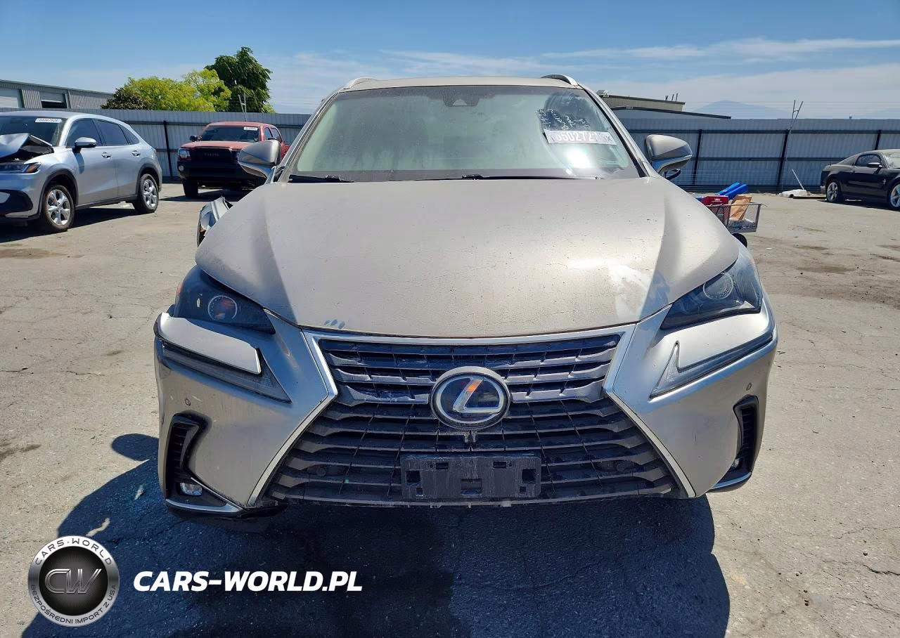 2019 Lexus Nx 300H VIN:JTJBJRBZ4K2120443 - 5